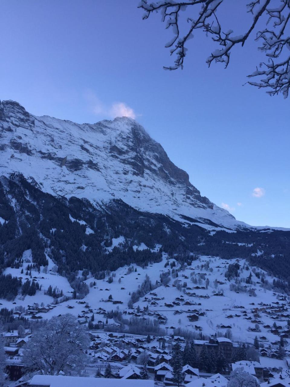 Chalet Gruenegg Grindelwald Exteriér fotografie